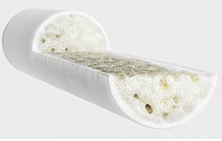 HEALTHY BONE